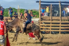 20150620_155421-175