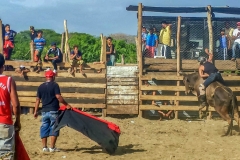 20150620_155426-176